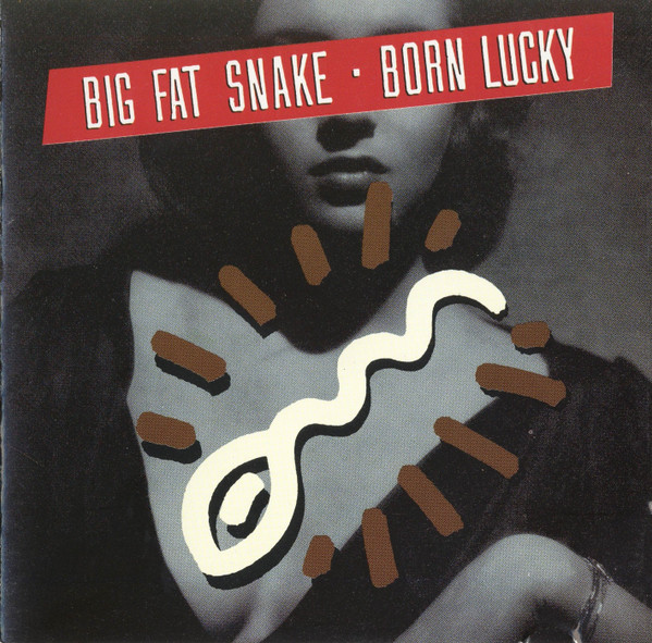Big Fat Snake - Tryin' To Get Over You